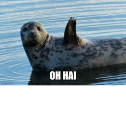 SEAL FIGHT