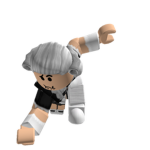 the roblox fan group/also the friend group