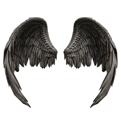Stone Statue Wings