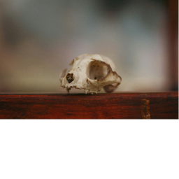 wip horror game