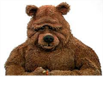 The Bear Army!