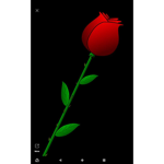 Between the roses