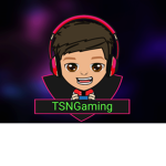 TSNGaming Group