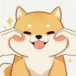 ㅇShiba Shiba