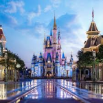 Disney World 681