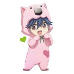 Combat Wombat Fan Group