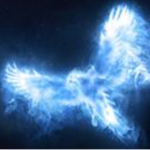 <3 Phoenix <3