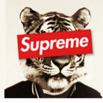 👌 Virtual Supreme Clothing 👌
