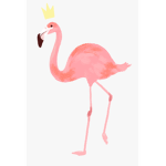 .Queen Flamingo’s Islanders.