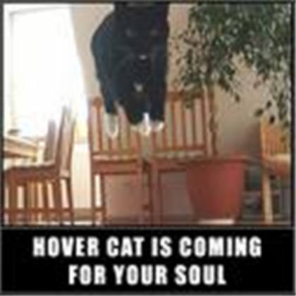hover cat Roblox decal
