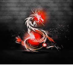 The néon dragon groupe