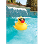 The Duck Group Official