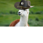The Llama Group