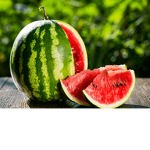 Watermelon Members