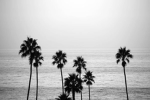 : ) Summer (: