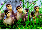 Elite Guardianes de Los Noobs