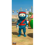 the clumsy ninja group