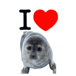 Seals clan