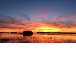 cutie sun set