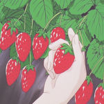 Strawberry Clothing Store <3