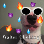 Walter Clothing ᴛᴍ