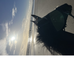 SHOWJUMPING