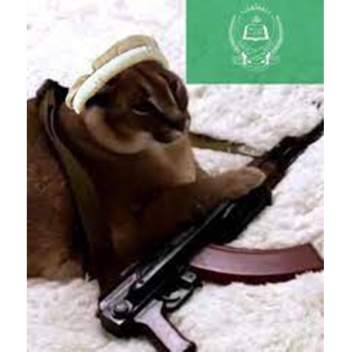 Survive Floppa killer!