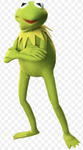 YOUTUBE IS THE BEST/KERMIT AND THE ROGGYS