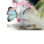 <_BUTTERFLYCLAN_>