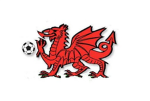 The Dutch Dragons