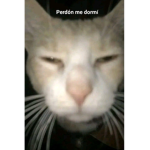 NoSomosNada