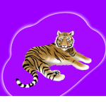 Purple Tigers Cheer and Gymnastics