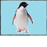 Team Roblox Penguin
