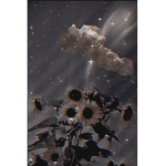 Gray_gray