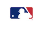 The MLB Baseball League