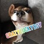 #### - Crazy Lucky Boy's Group