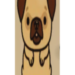 Mission Only Pug