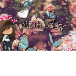 Erine_diy