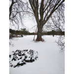 J'aime l'hiver