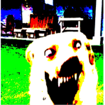 the guys poop lel