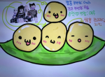 완두콩 조직
