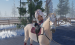 -Equi Sport Sofisticate-