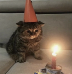 ‘katcore