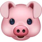 Pensive Pig