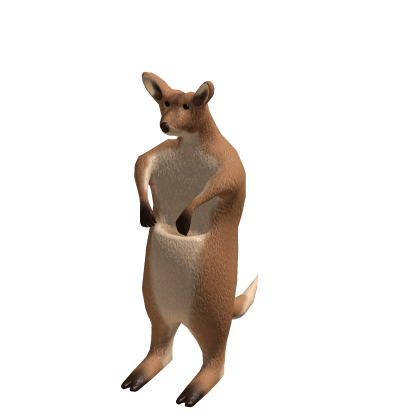 Kangaroo Buddy Suit