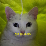 당근들