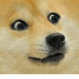 Doge Fans Hangout Place
