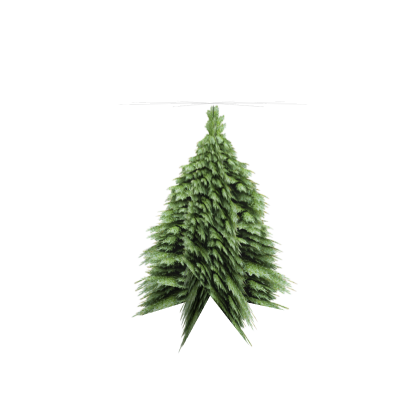 Pine Tree