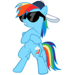 🌈 The Rainbow Dash Fan Club 🌈