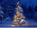 snowy vibe